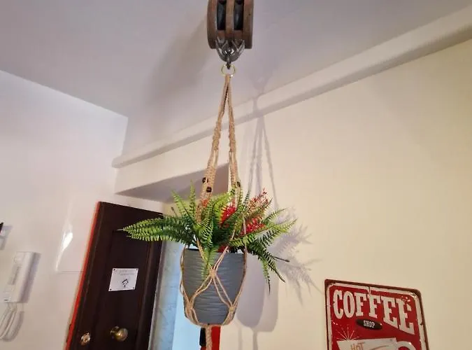 Er Paranco * 萨尔扎纳